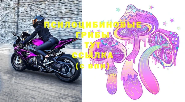не бодяженный Алексин
