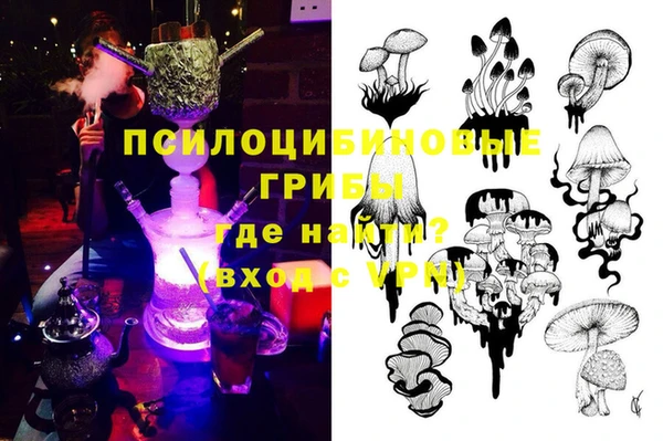 не бодяженный Алексин
