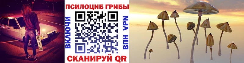 Псилоцибиновые грибы Psilocybe  гидра вход  Лесосибирск 