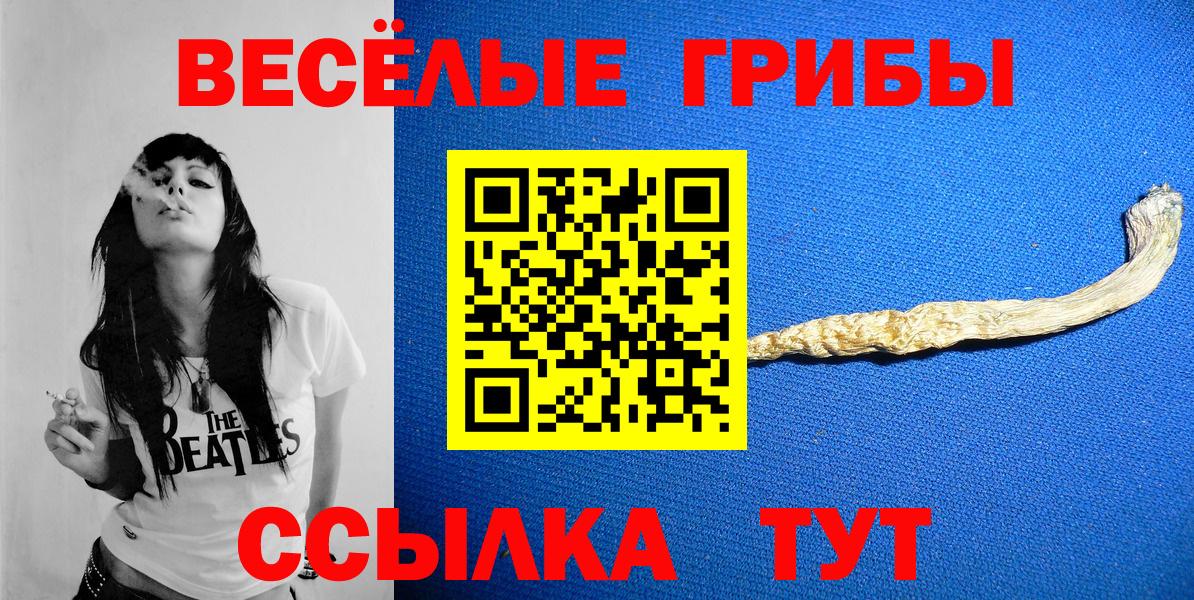 Псилоцибиновые грибы прущие грибы Лесосибирск